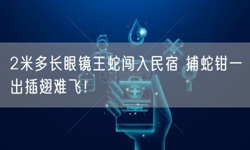 2米多长眼镜王蛇闯入民宿 捕蛇钳一出插翅难飞！