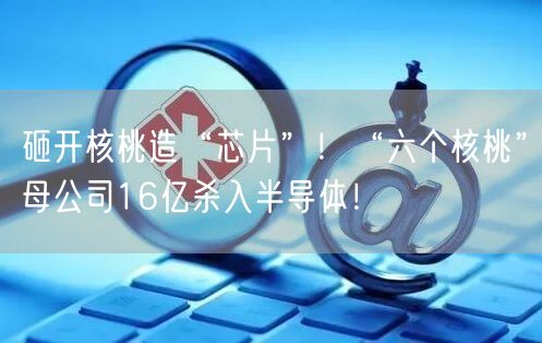 砸开核桃造“芯片”！“六个核桃”母公司16亿杀入半导体！