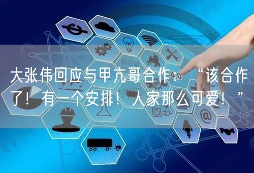 大张伟回应与甲亢哥合作：“该合作了！有一个安排！人家那么可爱！”