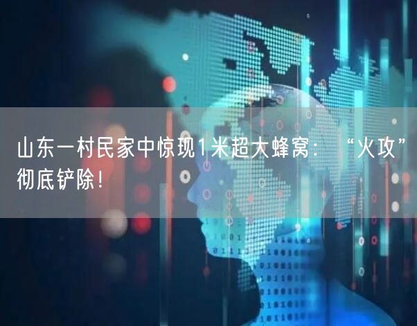 山东一村民家中惊现1米超大蜂窝：“火攻”彻底铲除！