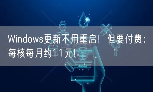 Windows更新不用重启！但要付费：每核每月约11元!