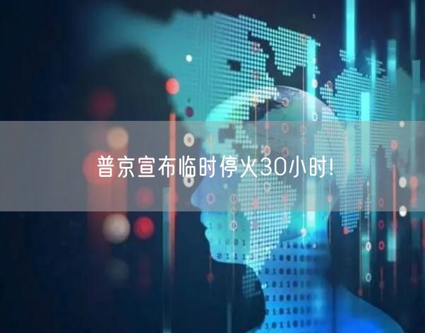 普京宣布临时停火30小时!