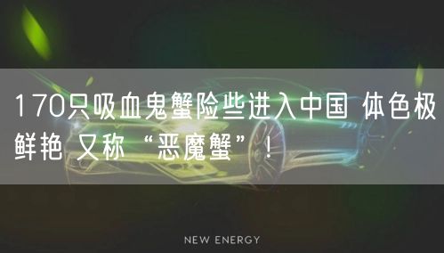 170只吸血鬼蟹险些进入中国 体色极鲜艳 又称“恶魔蟹”！