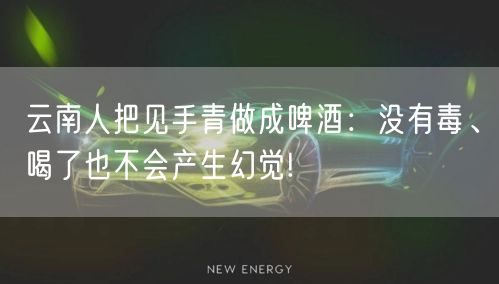 云南人把见手青做成啤酒：没有毒、喝了也不会产生幻觉!