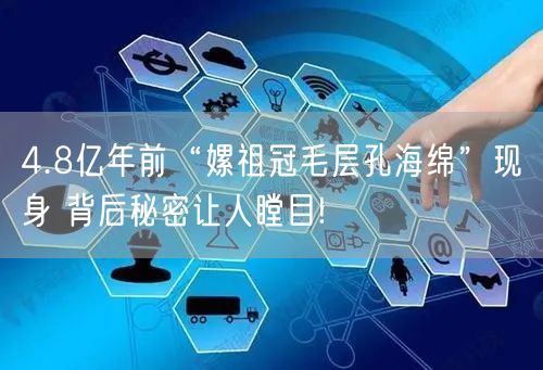 4.8亿年前“嫘祖冠毛层孔海绵”现身 背后秘密让人瞠目!