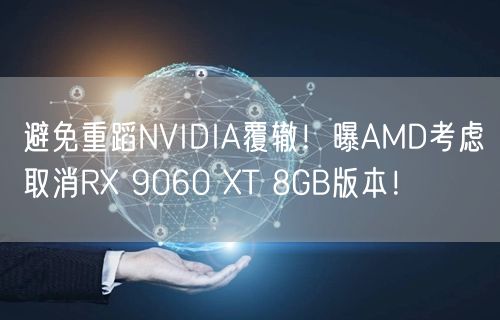 避免重蹈NVIDIA覆辙！曝AMD考虑取消RX 9060 XT 8GB版本！