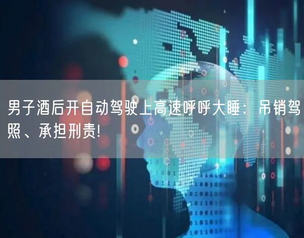 男子酒后开自动驾驶上高速呼呼大睡：吊销驾照、承担刑责!