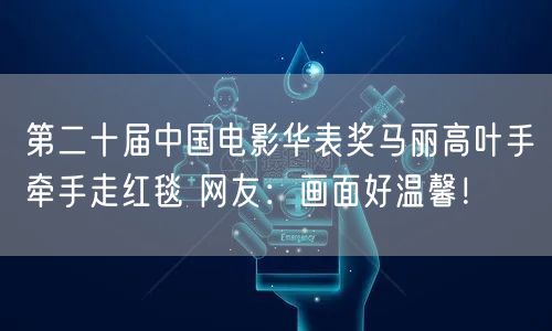 第二十届中国电影华表奖马丽高叶手牵手走红毯 网友：画面好温馨！
