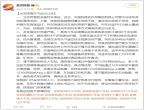 网友实拍暴雪冻雨压断树枝！武汉铁路：不要贸然前往火车站！