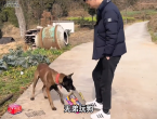 新老女婿回老婆娘家拜年区别太明显引热议：网友看完大呼“尴尬”！